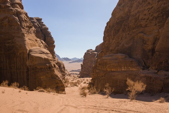 Wadi Rum: Mountain Hike with Lunch & Scenic Valley Tour - The Guides: Where The Bedouin Touch Shows Up