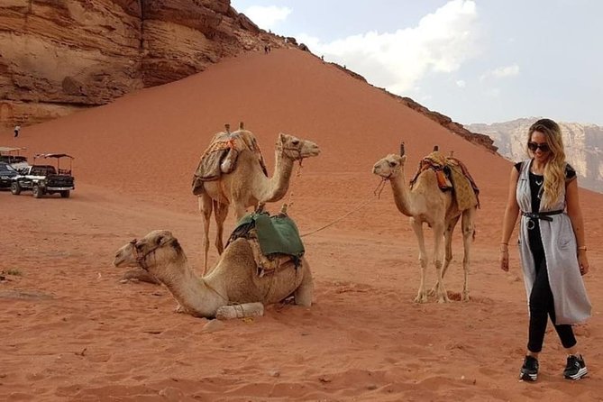 Wadi Rum Private Transfer to or from Amman or Airport - Should you book this Amman to Wadi Rum transfer with VIP Jordan Limo?