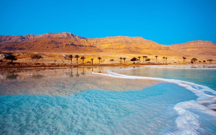 Whispers of Stone, Sand & Sea: Jordan in Five Days - Day 4: Dead Sea Floating, Optional Sunrise, Back to Amman